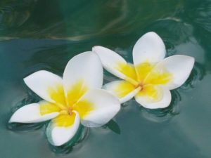 Atlaslogie, Nastasja Meister