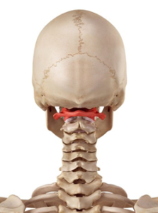 Atlaslogie Behandlung